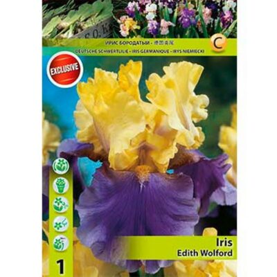 10389 Iris – Ίρις Edith Wolford