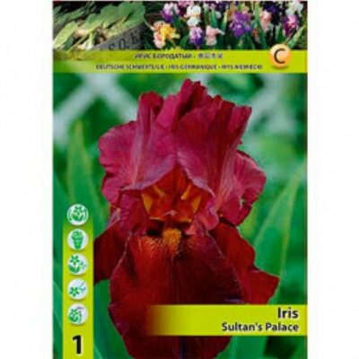 10390 Iris – Ίρις Sultans Palace