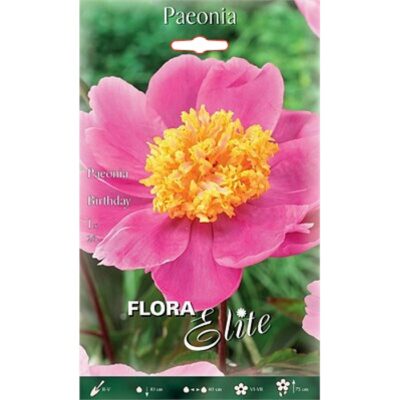 818967 Paeonia – Παιώνια Birthday