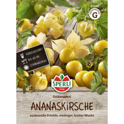 80642 – Φυσαλίς Ανανάς – Physalis pruinosa