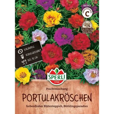 86343 – Πορτουλάκα - Νυχάκι μείγμα – Portulaca grandiflora