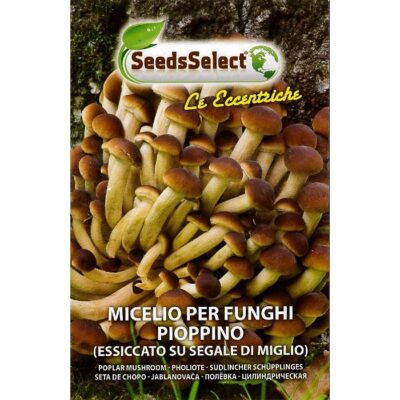 Σπόροι φαγώσιμων μανιταριών EC13 PIOPPINO (Pholiota Aegerita)